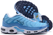 Nike Air Max TN 8909-347